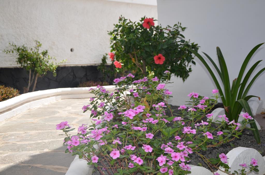 Alsol Las Orquideas Playa del Inglés Kültér fotó